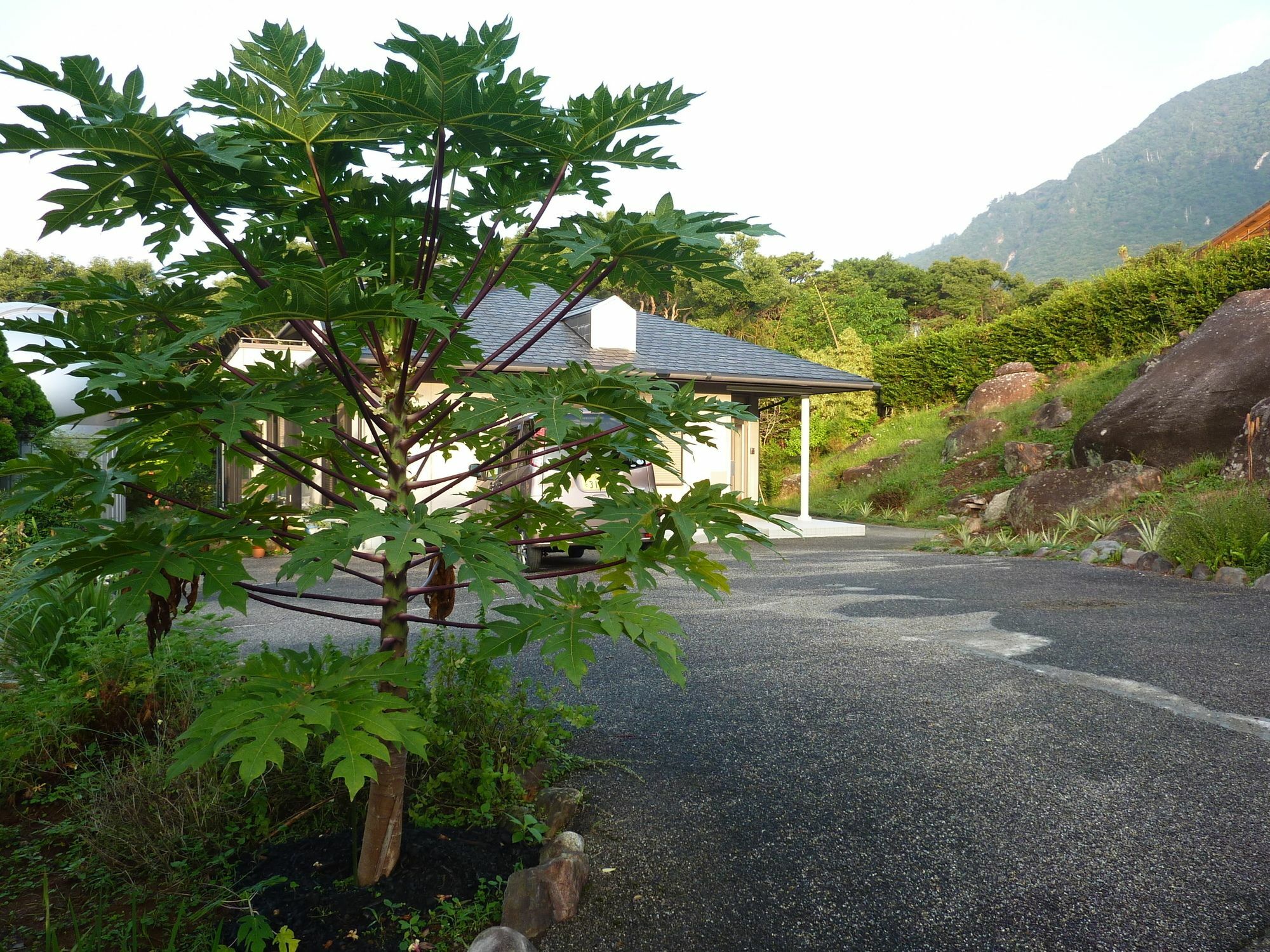Hotel Sora-Mame Yakushima  Esterno foto